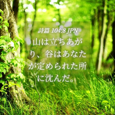 Picture 04 - 詩篇 104:8 JPN - 山は立ちあがり、谷はあなたが定め - Bible Verse Picture