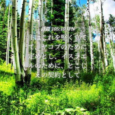 Picture 04 - 詩篇 105:10 JPN - 主はこれを堅く立てて、ヤコブのた - Bible Verse Picture