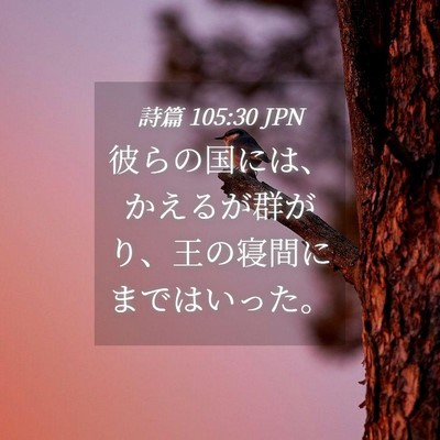 Picture 04 - 詩篇 105:30 JPN - 彼らの国には、かえるが群がり、王 - Bible Verse Picture
