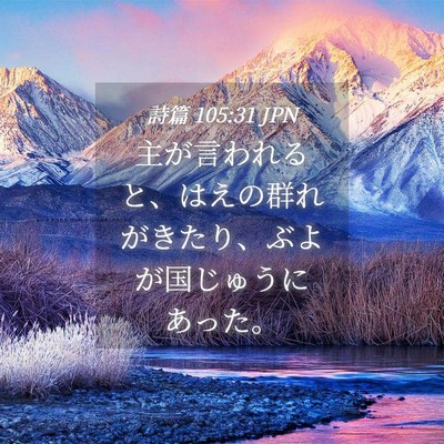 Picture 04 - 詩篇 105:31 JPN - 主が言われると、はえの群れがきた - Bible Verse Picture