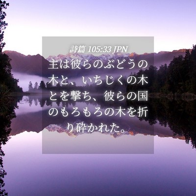 Picture 04 - 詩篇 105:33 JPN - 主は彼らのぶどうの木と、いちじく - Bible Verse Picture