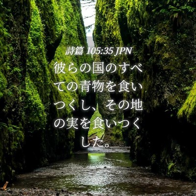 Picture 04 - 詩篇 105:35 JPN - 彼らの国のすべての青物を食いつく - Bible Verse Picture