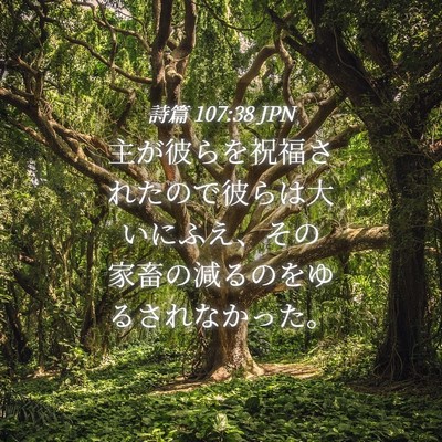 Picture 04 - 詩篇 107:38 JPN - 主が彼らを祝福されたので彼らは大 - Bible Verse Picture