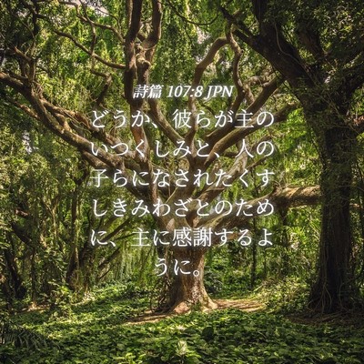 Picture 04 - 詩篇 107:8 JPN - どうか、彼らが主のいつくしみと、 - Bible Verse Picture