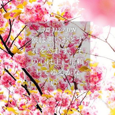 Picture 04 - 詩篇 112:7 JPN - 彼は悪いおとずれを恐れず、その心 - Bible Verse Picture