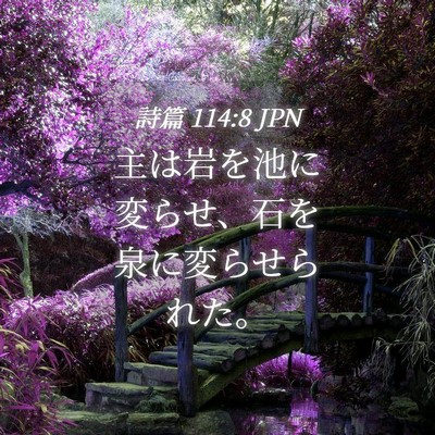 Picture 04 - 詩篇 114:8 JPN - 主は岩を池に変らせ、石を泉に変ら - Bible Verse Picture