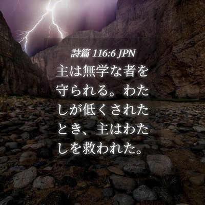 Picture 04 - 詩篇 116:6 JPN - 主は無学な者を守られる。わたしが - Bible Verse Picture
