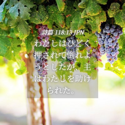 Picture 04 - 詩篇 118:13 JPN - わたしはひどく押されて倒れようと - Bible Verse Picture