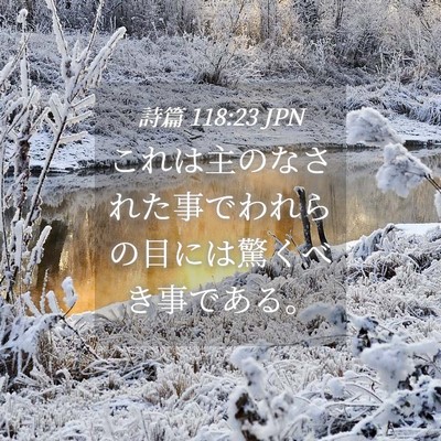 Picture 04 - 詩篇 118:23 JPN - これは主のなされた事でわれらの目 - Bible Verse Picture