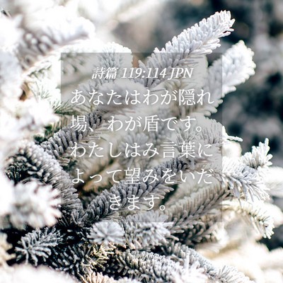 Picture 04 - 詩篇 119:114 JPN - あなたはわが隠れ場、わが盾です。 - Bible Verse Picture