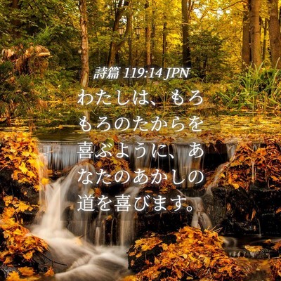 Picture 04 - 詩篇 119:14 JPN - わたしは、もろもろのたからを喜ぶ - Bible Verse Picture
