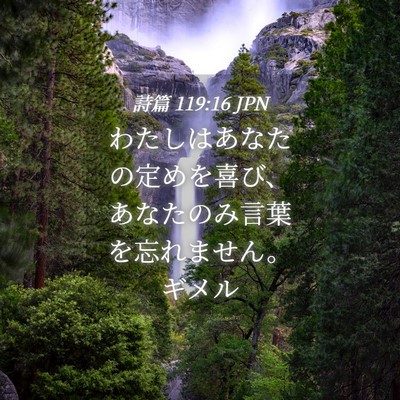 Picture 04 - 詩篇 119:16 JPN - わたしはあなたの定めを喜び、あな - Bible Verse Picture