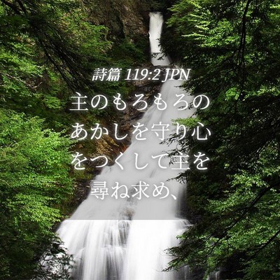 Picture 04 - 詩篇 119:2 JPN - 主のもろもろのあかしを守り心をつ - Bible Verse Picture