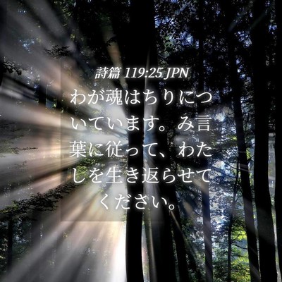 Picture 04 - 詩篇 119:25 JPN - わが魂はちりについています。み言 - Bible Verse Picture