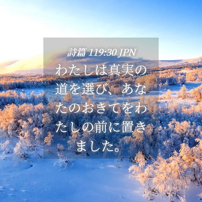 Picture 04 - 詩篇 119:30 JPN - わたしは真実の道を選び、あなたの - Bible Verse Picture