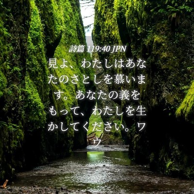 Picture 04 - 詩篇 119:40 JPN - 見よ、わたしはあなたのさとしを慕 - Bible Verse Picture