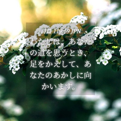 Picture 04 - 詩篇 119:59 JPN - わたしは、あなたの道を思うとき、 - Bible Verse Picture
