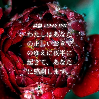 Picture 04 - 詩篇 119:62 JPN - わたしはあなたの正しいおきてのゆ - Bible Verse Picture