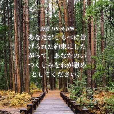 Picture 04 - 詩篇 119:76 JPN - あなたがしもべに告げられた約束に - Bible Verse Picture
