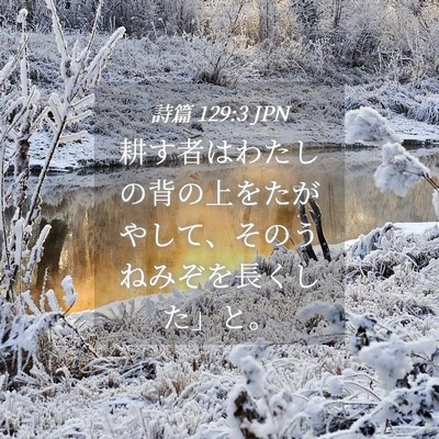Picture 04 - 詩篇 129:3 JPN - 耕す者はわたしの背の上をたがやし - Bible Verse Picture
