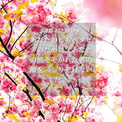 Picture 04 - 詩篇 132:10 JPN - あなたのしもべダビデのために、あ - Bible Verse Picture