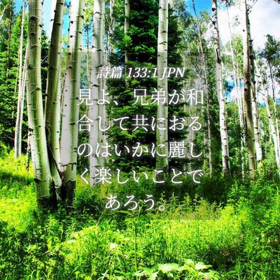 Picture 04 - 詩篇 133:1 JPN - 見よ、兄弟が和合して共におるのは - Bible Verse Picture