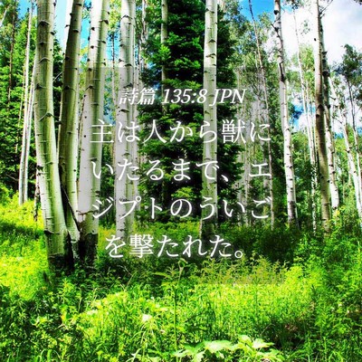 Picture 04 - 詩篇 135:8 JPN - 主は人から獣にいたるまで、エジプ - Bible Verse Picture