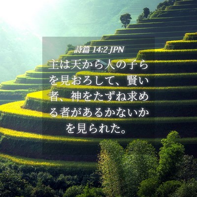 Picture 04 - 詩篇 14:2 JPN - 主は天から人の子らを見おろして、 - Bible Verse Picture