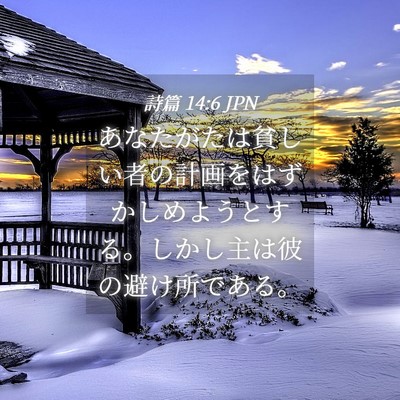 Picture 04 - 詩篇 14:6 JPN - あなたがたは貧しい者の計画をはず - Bible Verse Picture