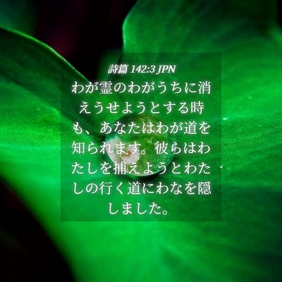 Picture 04 - 詩篇 142:3 JPN - わが霊のわがうちに消えうせようと - Bible Verse Picture