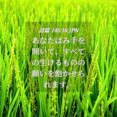 Picture 04 - 詩篇 145:16 JPN - あなたはみ手を開いて、すべての生 - Bible Verse Picture