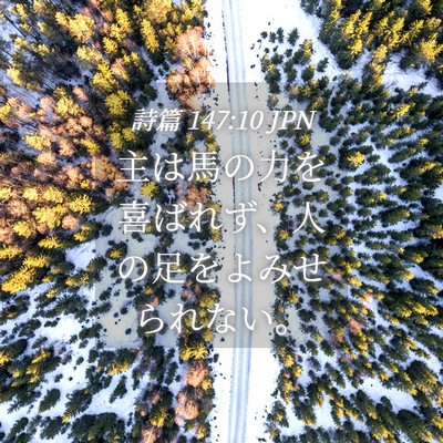 Picture 04 - 詩篇 147:10 JPN - 主は馬の力を喜ばれず、人の足をよ - Bible Verse Picture