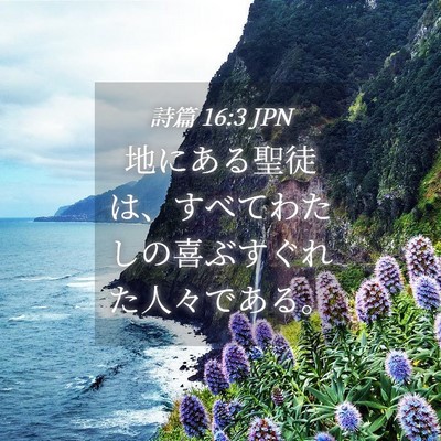 Picture 04 - 詩篇 16:3 JPN - 地にある聖徒は、すべてわたしの喜 - Bible Verse Picture