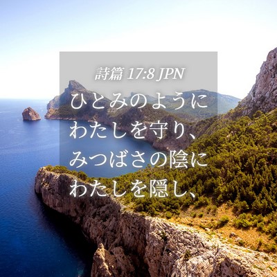 Picture 04 - 詩篇 17:8 JPN - ひとみのようにわたしを守り、みつ - Bible Verse Picture