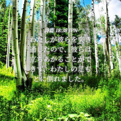 Picture 04 - 詩篇 18:38 JPN - わたしが彼らを突き通したので、彼 - Bible Verse Picture
