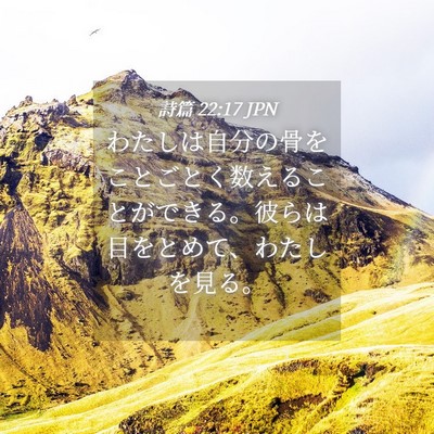 Picture 04 - 詩篇 22:17 JPN - わたしは自分の骨をことごとく数え - Bible Verse Picture