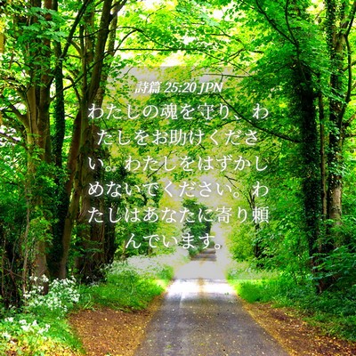 Picture 04 - 詩篇 25:20 JPN - わたしの魂を守り、わたしをお助け - Bible Verse Picture