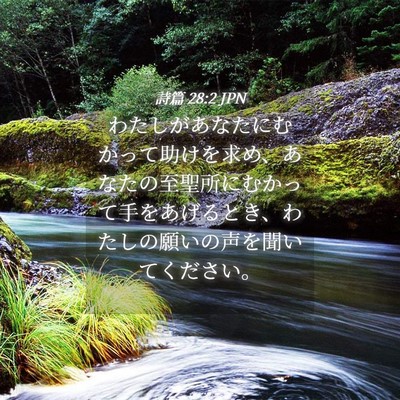 Picture 04 - 詩篇 28:2 JPN - わたしがあなたにむかって助けを求 - Bible Verse Picture