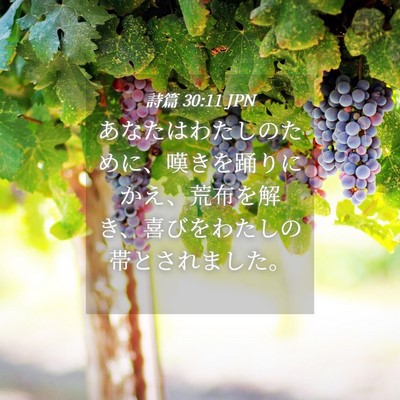 Picture 04 - 詩篇 30:11 JPN - あなたはわたしのために、嘆きを踊 - Bible Verse Picture