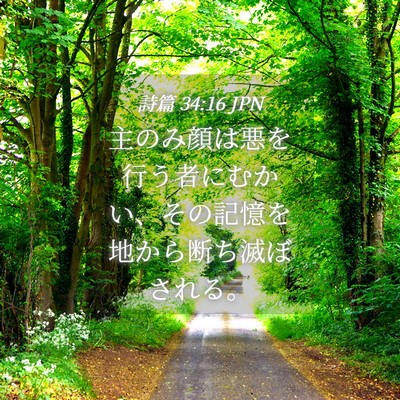 Picture 04 - 詩篇 34:16 JPN - 主のみ顔は悪を行う者にむかい、そ - Bible Verse Picture