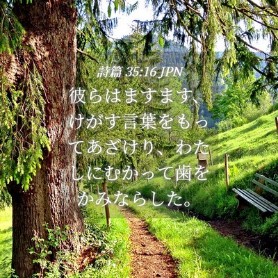 Picture 04 - 詩篇 35:16 JPN - 彼らはますます、けがす言葉をもっ - Bible Verse Picture