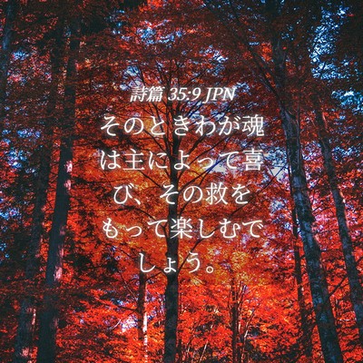 Picture 04 - 詩篇 35:9 JPN - そのときわが魂は主によって喜び、 - Bible Verse Picture