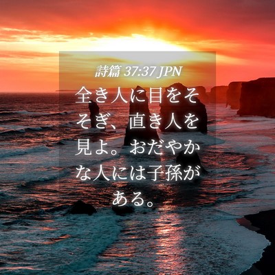 Picture 04 - 詩篇 37:37 JPN - 全き人に目をそそぎ、直き人を見よ - Bible Verse Picture