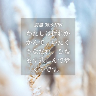 Picture 04 - 詩篇 38:6 JPN - わたしは折れかがんで、いたくうな - Bible Verse Picture