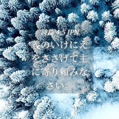 Picture 04 - 詩篇 4:5 JPN - 義のいけにえをささげて主に寄り頼 - Bible Verse Picture