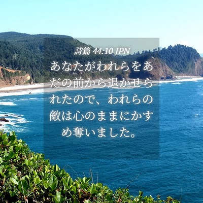 Picture 04 - 詩篇 44:10 JPN - あなたがわれらをあだの前から退か - Bible Verse Picture
