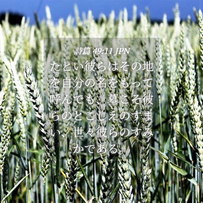 Picture 04 - 詩篇 49:11 JPN - たとい彼らはその地を自分の名をも - Bible Verse Picture