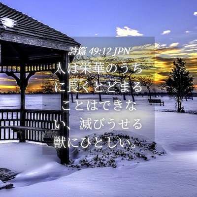 Picture 04 - 詩篇 49:12 JPN - 人は栄華のうちに長くとどまること - Bible Verse Picture