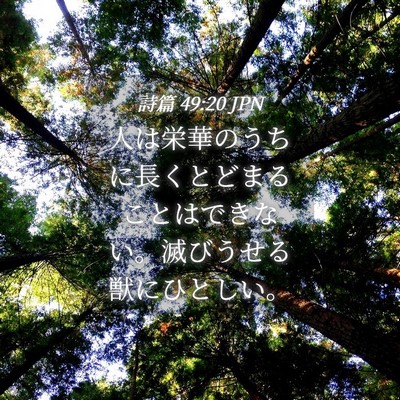 Picture 04 - 詩篇 49:20 JPN - 人は栄華のうちに長くとどまること - Bible Verse Picture