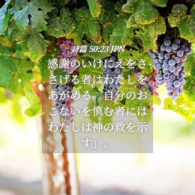 Picture 04 - 詩篇 50:23 JPN - 感謝のいけにえをささげる者はわた - Bible Verse Picture